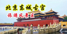 嗯,啊好爽啊,大鸡巴用力日啊受不了了视频中国北京-东城古宫旅游风景区